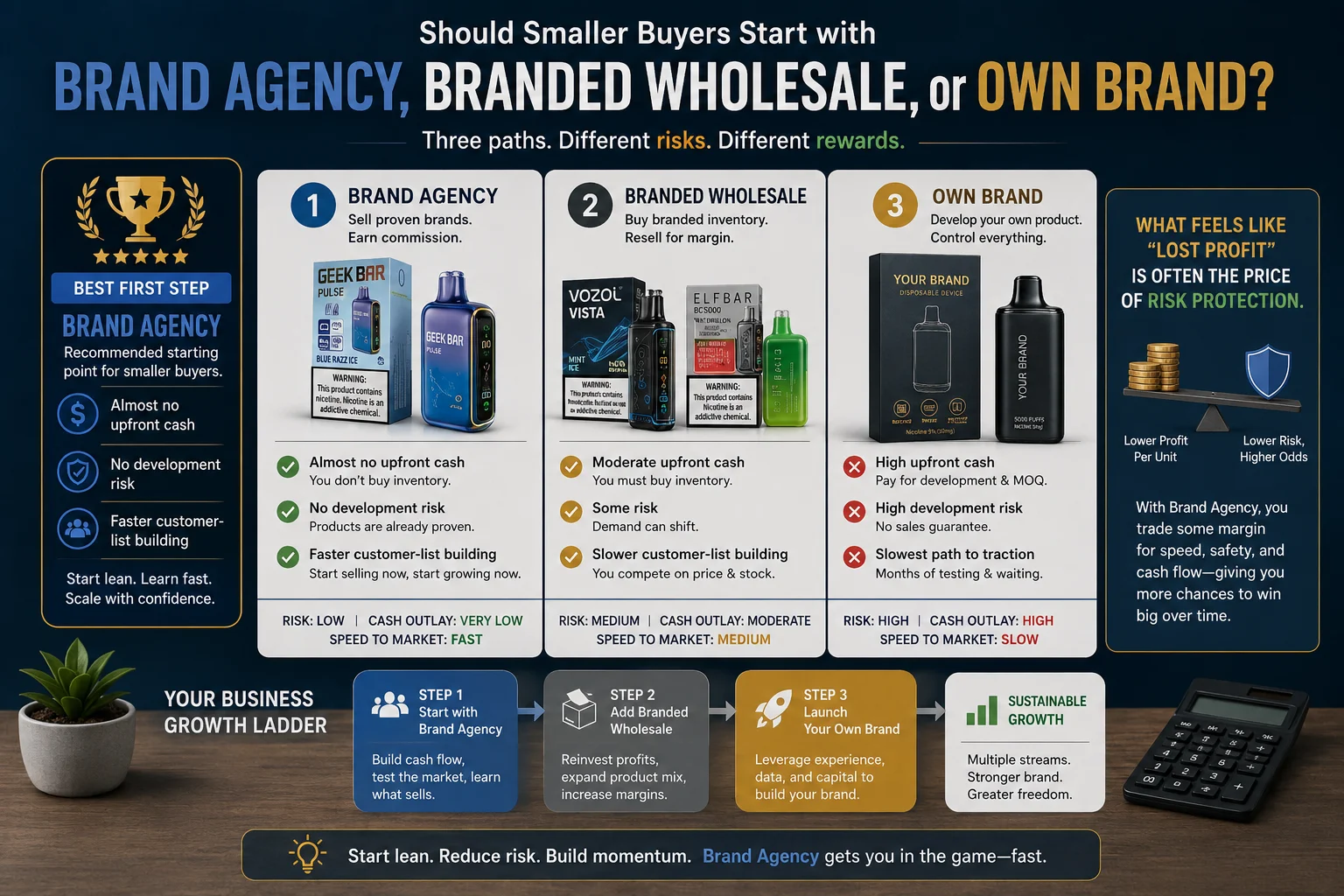 Visual comparison chart outlining the options for smaller buyers: choosing between brand agency, branded wholesale, or launching their own brand, with associated risks, costs, and benefits.